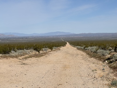 A dirt road stretching forward into the desert